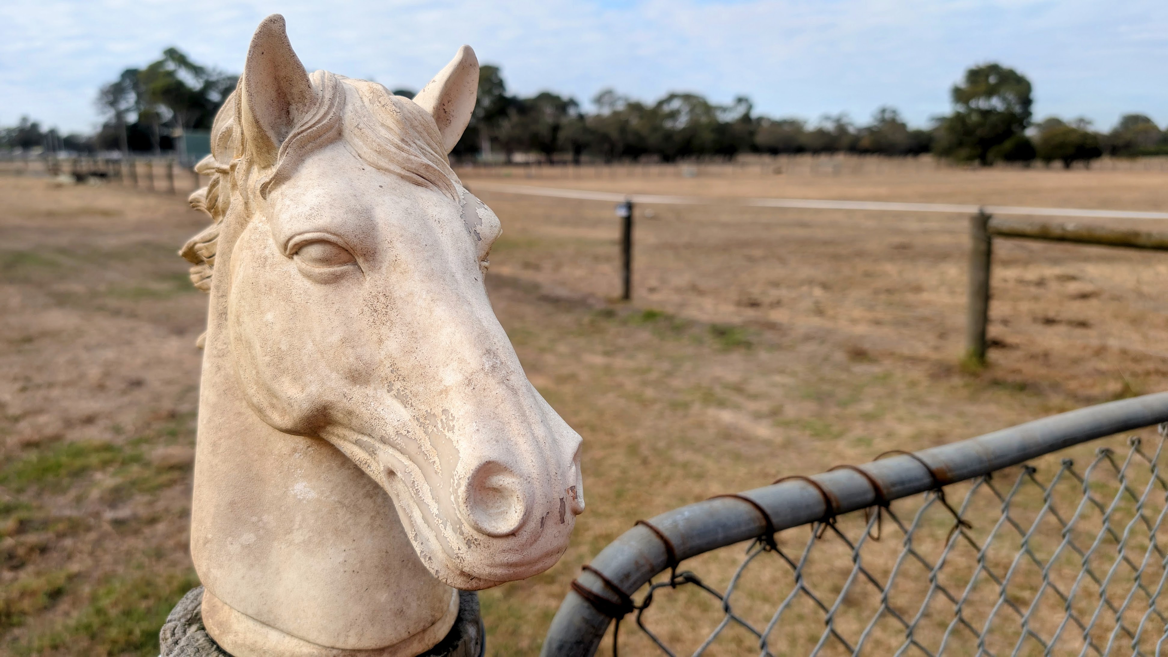 Horse Head
